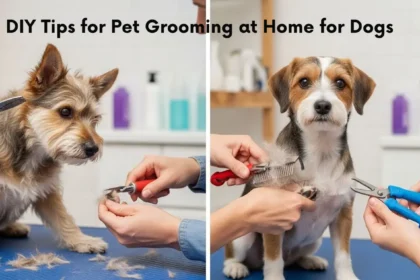DIY Tips for Pet Grooming at Home for Dogs