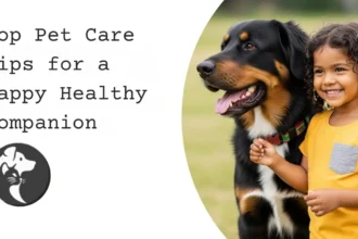 Top Pet Care Tips for a Happy Healthy Companion