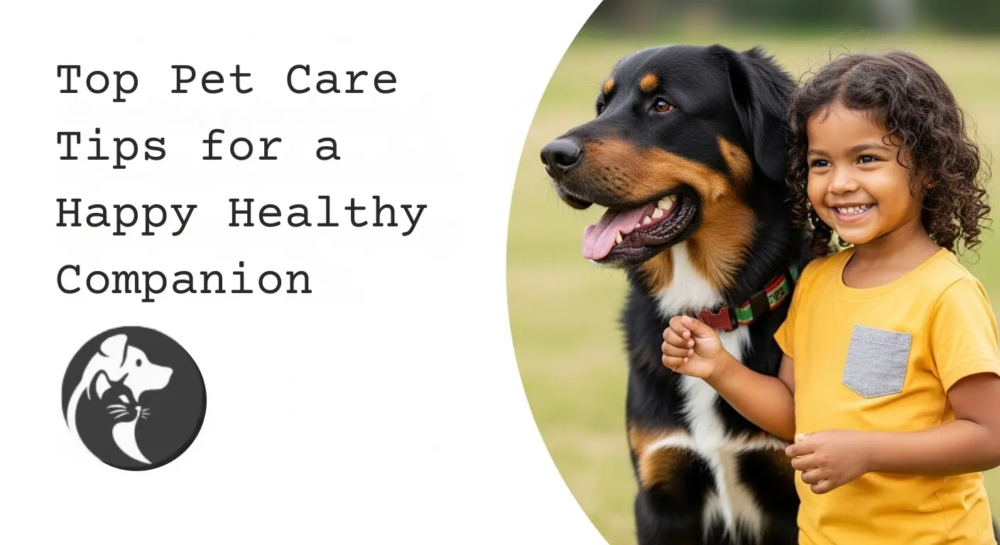 Top Pet Care Tips for a Happy Healthy Companion
